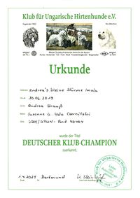 Champion Klub-Urkunde