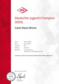 VDH Titles-Deutscher Jugend-Champion (VDH)-1486298-